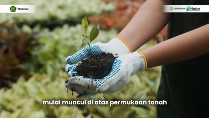 Guru MIN 4 Tebo Mulai Ikuti Pelatihan KBC pada MOOC Pintar, Tonton Materi dan Kerjakan Soal Secara Mandiri