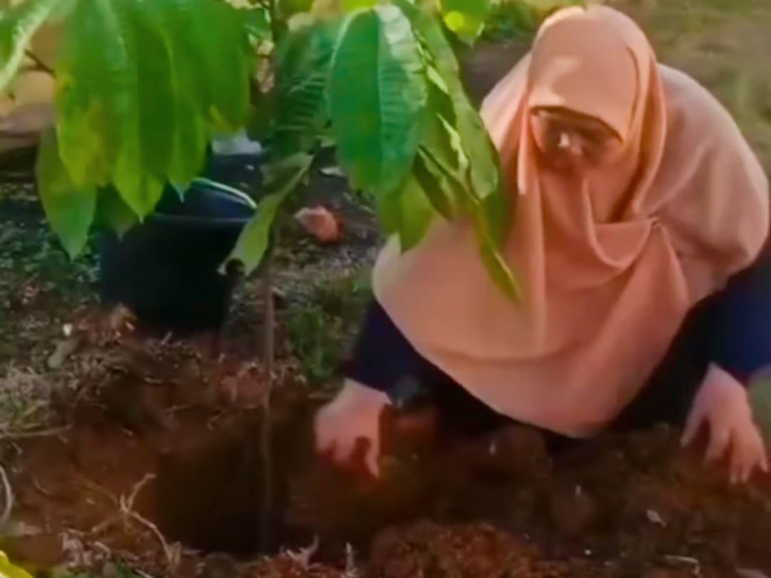 Guru Lolos PPPK, Tanam Pohon sebagai Wujud Penguatan Ekoteologi Guru Lolos PPPK, Tanam Pohon sebagai Wujud Penguatan Ekoteologi