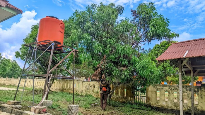 Pemangkasan Rumput Lanjut ke Area Belakang Kelas MIN 4 Tebo Pemangkasan Rumput Lanjut ke Area Belakang Kelas MIN 4 Tebo