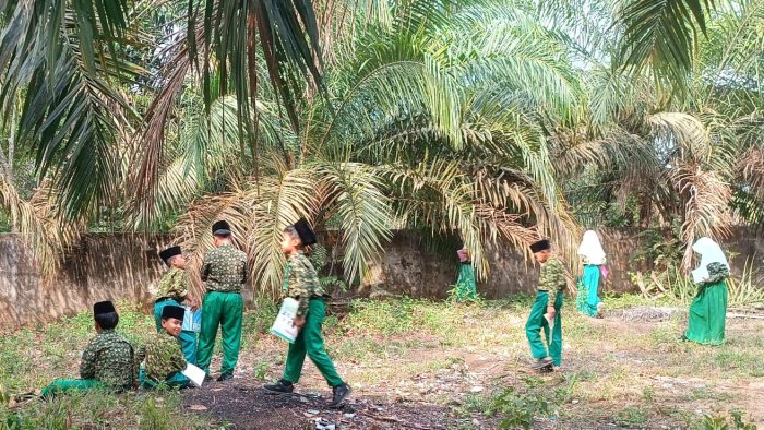 Guru Kelas 5B MIN 4 Tebo Manfaatkan Kebun Sawit Madrasah Jadi Media Pembelajaran IPAS Luar Ruang