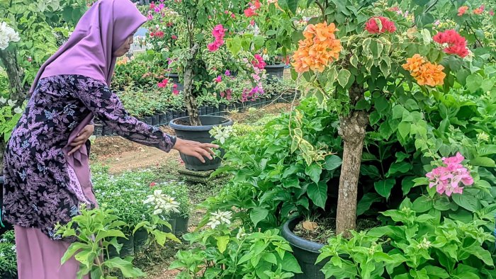 Wali Kelas 6B MIN 4 Tebo Mulai Penyegaran Taman dengan Belanja Bunga Wali Kelas 6B MIN 4 Tebo Mulai Penyegaran Taman dengan Belanja Bunga