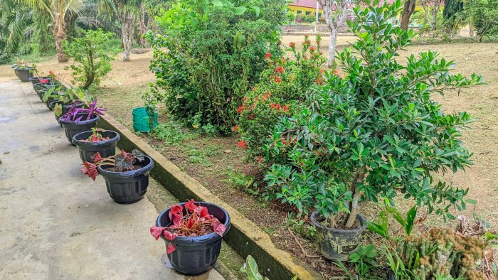 Kelas 2B MIN 4 Tebo Hiasi Depan Kelas dengan Pot Kembang Baru