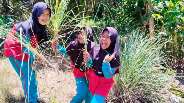 Toga MIN 4 Tebo, Kebun Kecil Penuh Manfaat