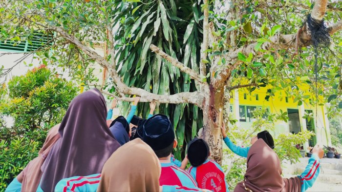 Kelas 3B MIN 4 Tebo Amati Simbiosis Langsung di Lingkungan Madrasah Kelas 3B MIN 4 Tebo Amati Simbiosis Langsung di Lingkungan Madrasah