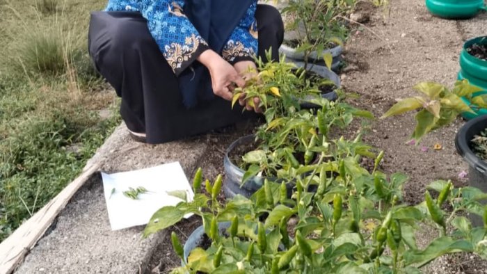 MIN 4 Tebo Terus Upayakan Seluruh Area Bisa Dimanfaatkan Sebagai Sarana Edukasi