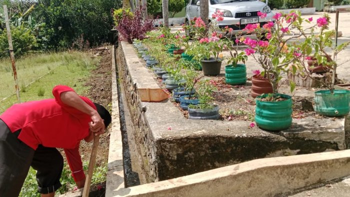 Keasrian Lingkungan MIN 4 Tebo Tercipta melalui Kolaborasi Guru dan Siswa Keasrian Lingkungan MIN 4 Tebo Tercipta melalui Kolaborasi Guru dan Siswa