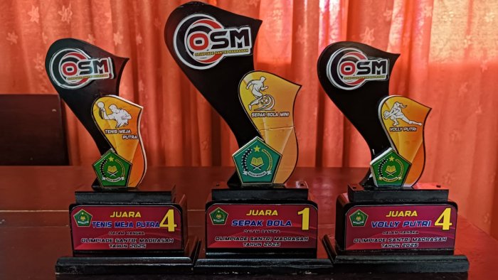 Kilas Balik 2025: Olahraga & Kesehatan MIN 4 Tebo - Dari Gerak Tubuh Hingga Puncak Prestasi Kilas Balik 2025: Olahraga & Kesehatan MIN 4 Tebo - Dari Gerak Tubuh Hingga Puncak Prestasi