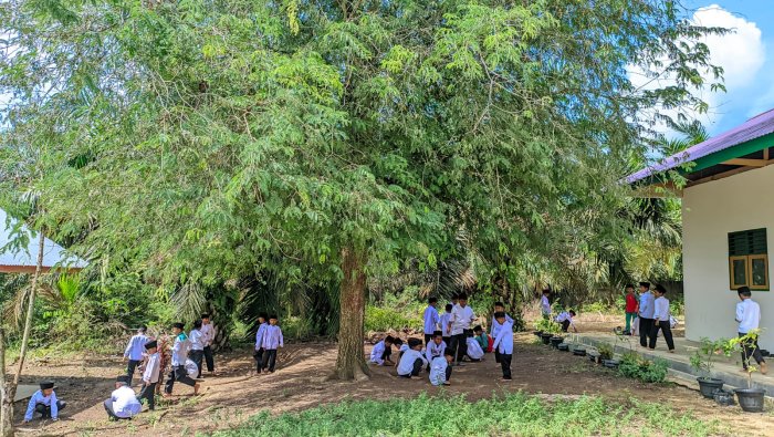 Strategi MIN 4 Tebo Jaga Masa Kecil Anak Lewat Permainan Tradisional di Jam Istirahat Strategi MIN 4 Tebo Jaga Masa Kecil Anak Lewat Permainan Tradisional di Jam Istirahat