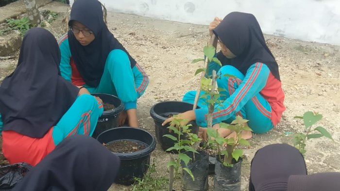 Kelas 6A MIN 4 Tebo Sempurnakan Revitalisasi Taman Depan Kelas dengan Menanam Aneka Bunga Baru Kelas 6A MIN 4 Tebo Sempurnakan Revitalisasi Taman Depan Kelas dengan Menanam Aneka Bunga Baru