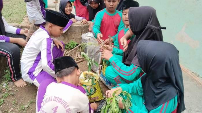 Belajar dari Alam Sekitar, Kelas 5A MIN 4 Tebo Tanam Ubi di Belakang Kelas Belajar dari Alam Sekitar, Kelas 5A MIN 4 Tebo Tanam Ubi di Belakang Kelas