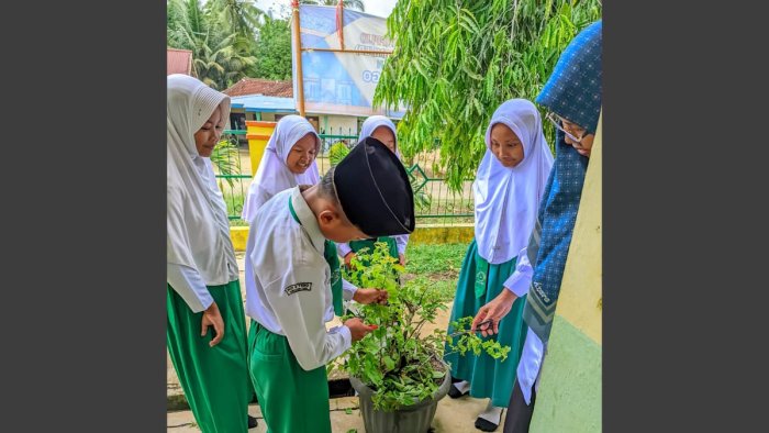 Kilas Balik 2025: Ekosistem Sehat MIN 4 Tebo - Mendidik Lewat Alam, Merawat dengan Hati Kilas Balik 2025: Ekosistem Sehat MIN 4 Tebo - Mendidik Lewat Alam, Merawat dengan Hati