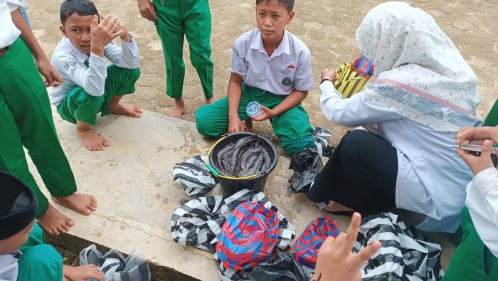 Panen Perdana Lele: Proyek Kokurikuler Kelas 6B MIN 4 Tebo Berbuah Hasil dan Pelajaran Hidup